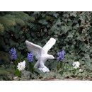 Adler aus Stein