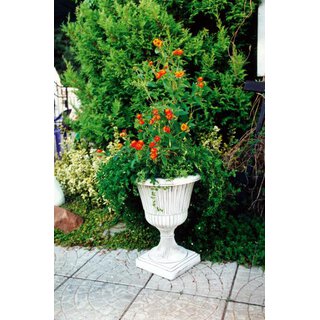 Blumenschale mit Muster