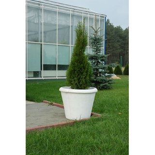 Blumenschale Vase