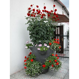 Blumenschale mit Motiv