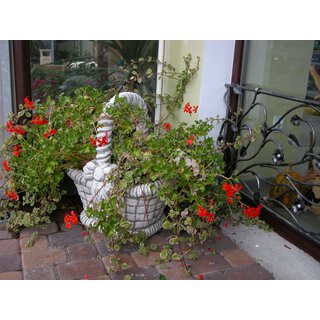 Blumenschale Korb